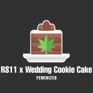 RS11 x Wedding Cookie Cake Photo Fem-0