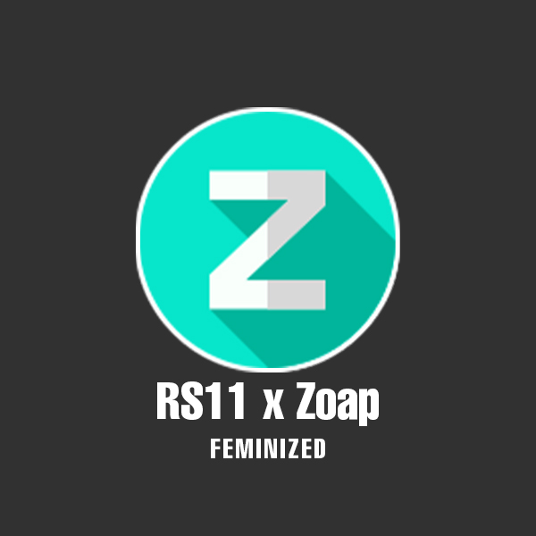 RS11 x Zoap Photo Fem-0