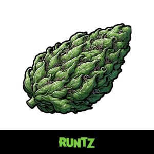 Runtz Photo Fem-1889