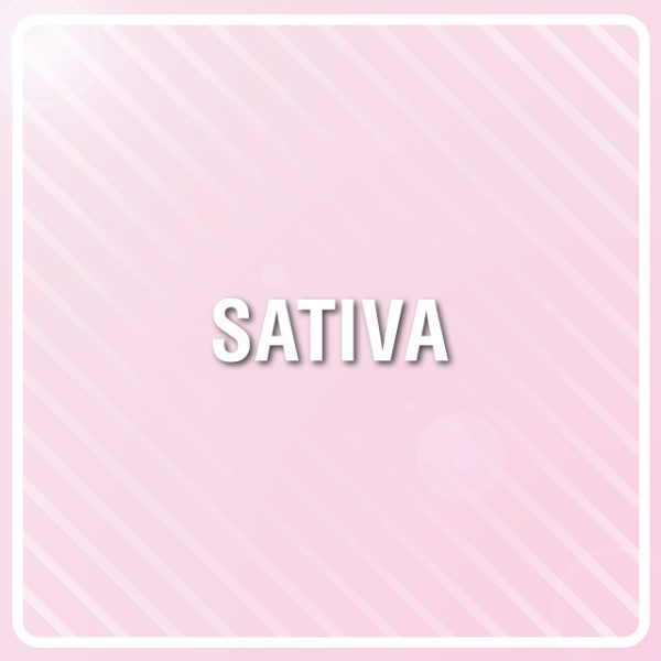 Cindy Skunk Photo Fem-3372