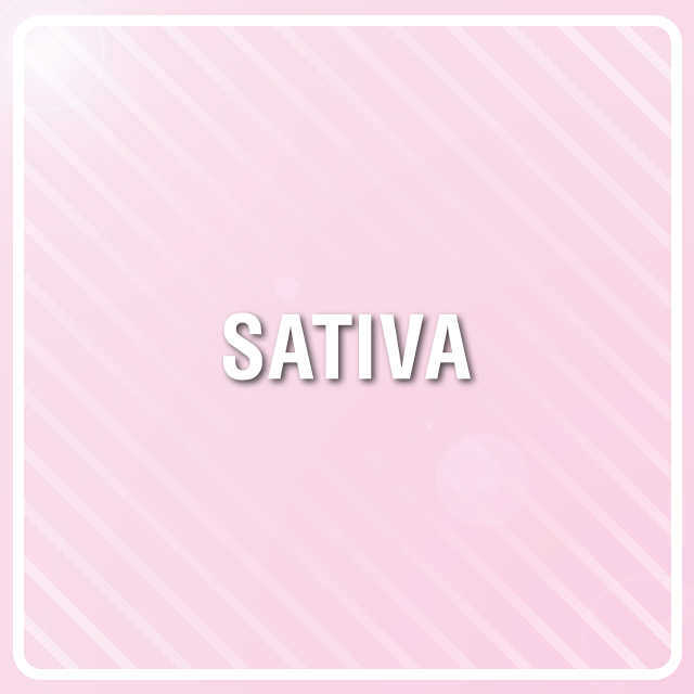 Amnesia Banner Photo Fem-2302