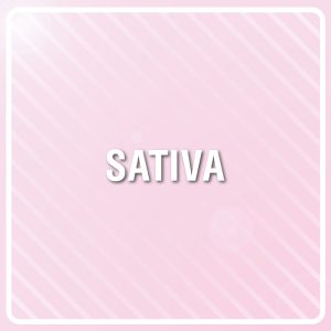 Tangie Photo Reg-2697