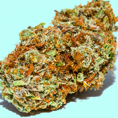 Sherbet Auto Fem-0