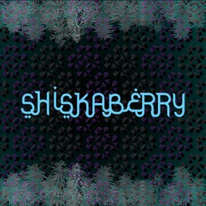 Shiskaberry Photo Fem-4204