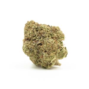Skywalker OG Photo Fem-0