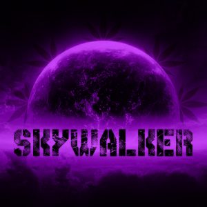 Skywalker Photo Fem-3681