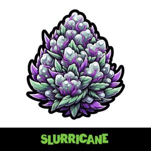 Slurricane Photo Fem-2087