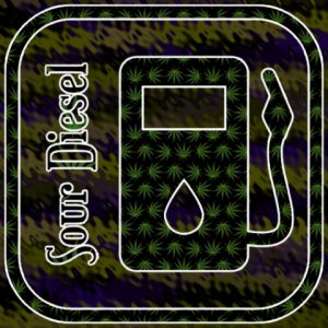 Sour Diesel Photo Fem-2906