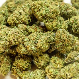 Sour Tsunami Photo Fem-1964