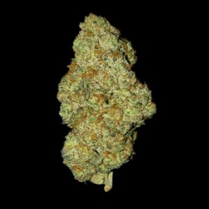 Star Killer Fast Photo Fem-2562