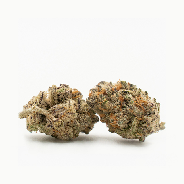 Star Killer Photo Fem-3312