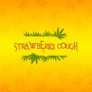 Strawberry Cough Photo Fem-3928