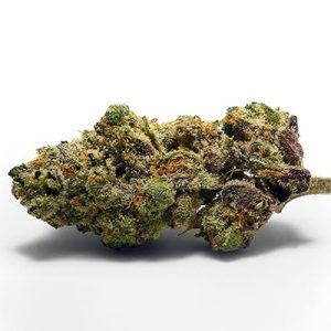 Strawberry Pie Auto Fem-1550