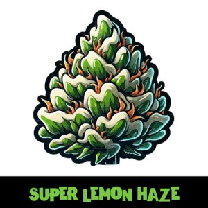 Super Lemon Haze Photo Fem-2873