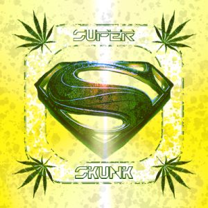 Super Skunk Photo Fem-3613