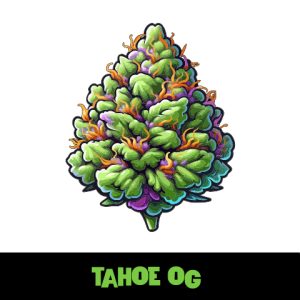 Tahoe OG Auto Fem-1555