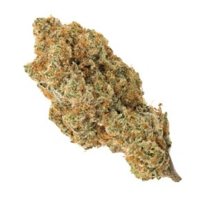 Tropi BCN Pineapple Sherbet Photo Reg-0