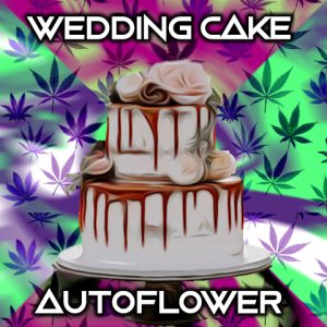 Wedding Cake Auto Fem-4112