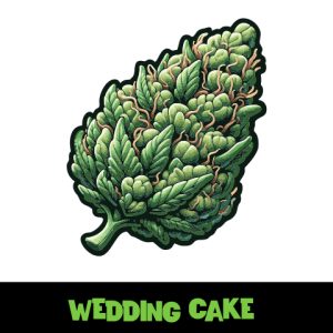 Wedding Cake Photo Reg-2663