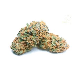 Lemon Tree Photo Fem-0