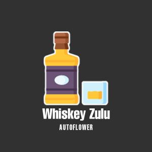 Whiskey Zulu Auto Fem-0