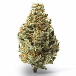 White Runtz Photo Fem-0