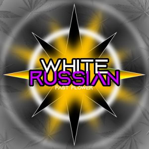 White Russian Fast Photo Fem-4109