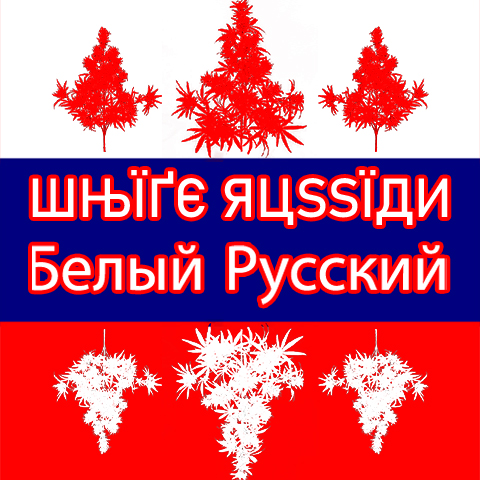 White Russian Photo Fem-3995