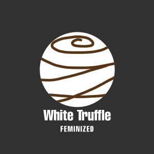 White Truffle Photo Fem-0
