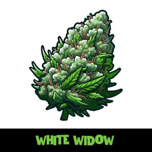 White Widow Photo Fem-2795