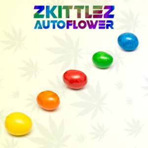Zkittlez Auto Fem-4051