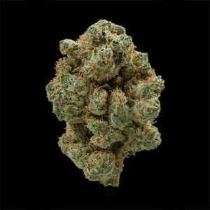 CBD Shishcandid Fast Photo Fem-0