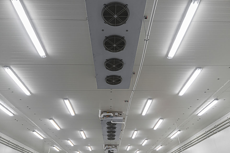 Best Climate For A Grow Room