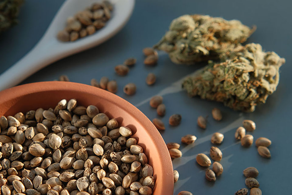 CBG Seeds