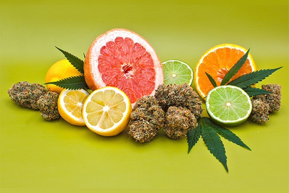Maximizing Terpenes