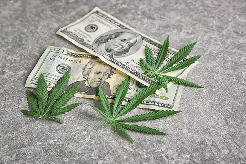 The Cost and Profit of Growing Cannabis