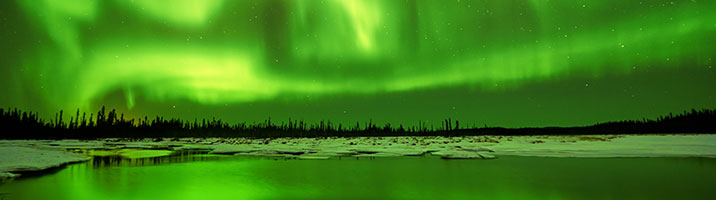 Buy Cannabis Seeds in Alaska