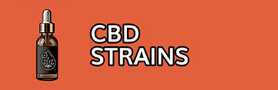 Cbd Strains
