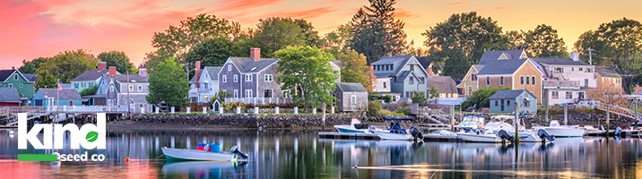 Buy Cannabis Seeds Online in New Hampshire Here