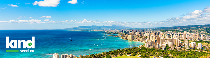 Buy Cannabis Seeds in Hawaii Online