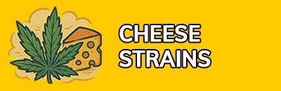 Cheese Strains