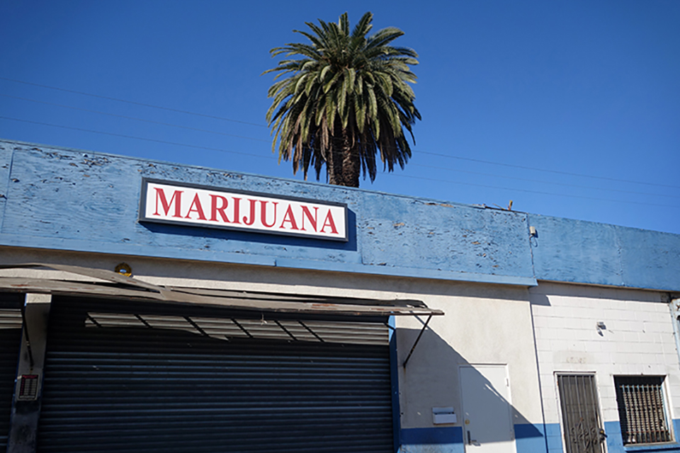 Dispensary Menu Oregon