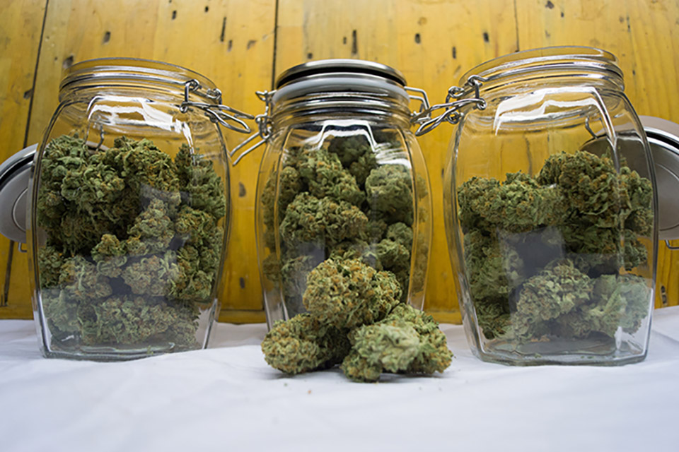 Dispensary Menu Minnesota