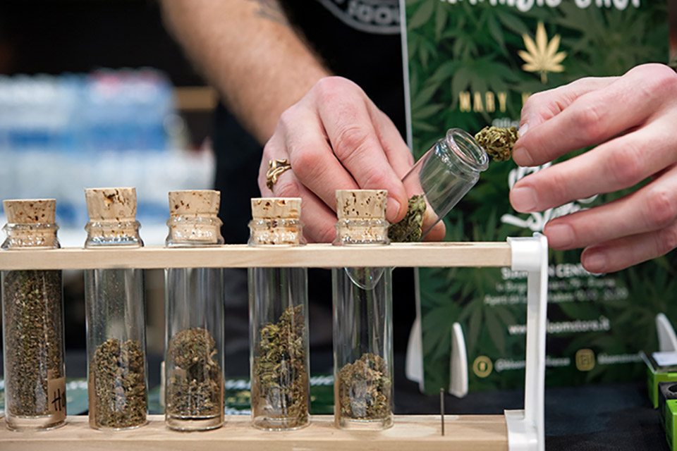 Dispensary Menu New Jersey