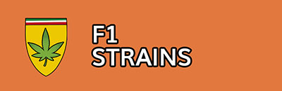 F1 Strains