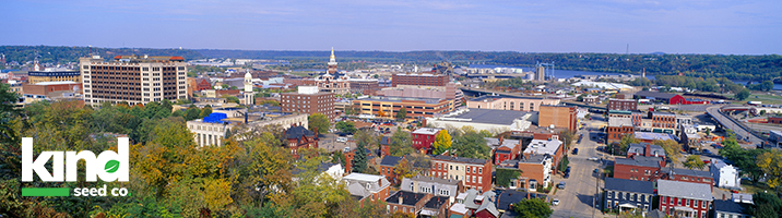 Souvenir Marijuana Seeds for Sale in Iowa