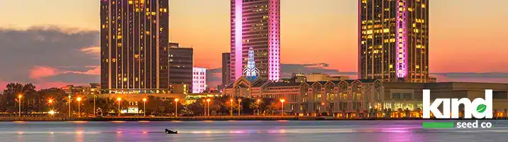 Marijuana Seeds For Sale in Alabama