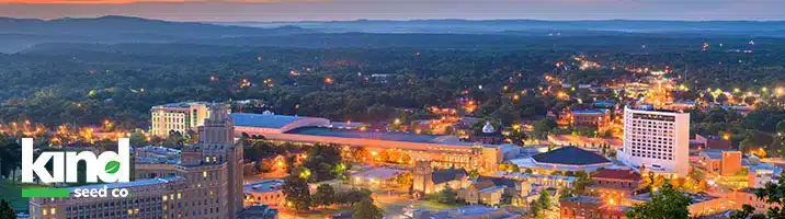 Marijuana Seeds For Sale in Arkansas