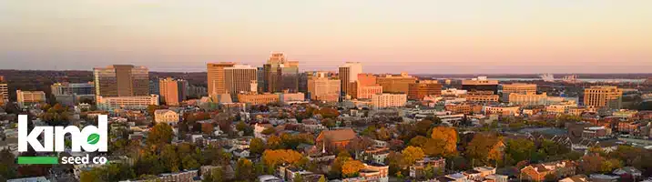 Marijuana Seeds For Sale in Delaware