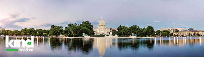 The White House reflecting on the water with Kind Seed Co logo